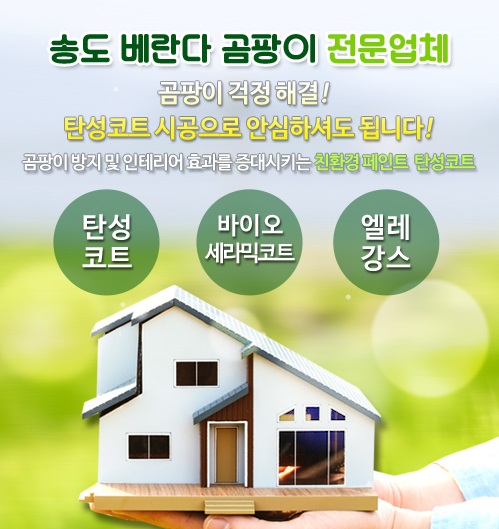 송도베란다곰팡이 모바일 비주얼 0